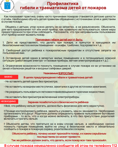Профилактика гибели и травматизма от пожаров! Профилактика гибели и травматизма от пожаров!.